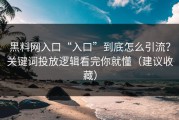 黑料网入口“入口”到底怎么引流？关键词投放逻辑看完你就懂（建议收藏）