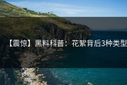 【震惊】黑料科普：花絮背后3种类型