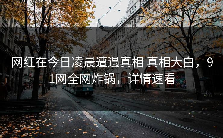 网红在今日凌晨遭遇真相 真相大白,91网全网炸锅,详情速看 网红在今日凌晨遭遇真相 真相大白,91网全网炸锅,详情速看