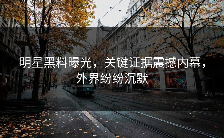 明星黑料曝光，关键证据震撼内幕，外界纷纷沉默